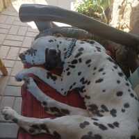 396f1573-e9c4-46e8-bbe8-ce7477df0957