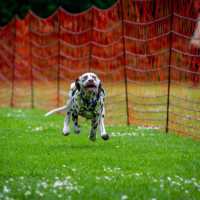 5ef1e820-fba5-4db5-b4ae-abc911ac1437