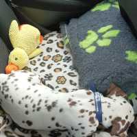 64db55b5-1164-42e3-8ee1-81ee23a4e051