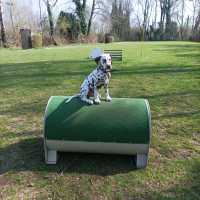 717a48fb-e08d-47e1-b392-ee5679994039