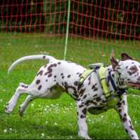 8294fd6e-1ebf-4205-abc0-4b596e11ec0a