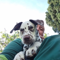 8b24abf1-a85e-4b7c-979e-b9183edfdcbc