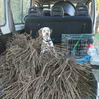 908d4f07-6438-4c76-b1ff-955a72991fa0