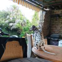 91927db4-ebe6-4d51-92df-b76169ed09a9