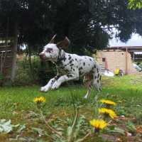 93cefa63-e768-4c9a-a0e4-a0ea6b1649db