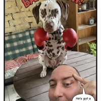 WhatsApp-Image-2026-02-25-at-12.43.22