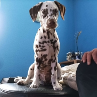 b1d90e45-d458-42b8-b8a0-5dd7370da462