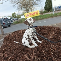 bf030610-9627-48e6-8c70-832a2457e746