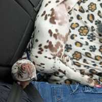 bff7e6dd-8791-4703-b044-2b39617b978c