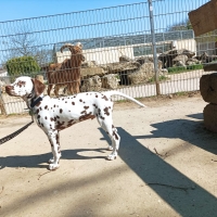 c4168283-3be7-4e57-bc05-8804f8cc68c8