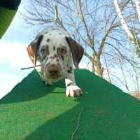 c4391efb-730e-4424-96a1-3e3f2217f0d0