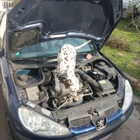 e2b1f7be-ab39-4d45-92ec-e41270112442