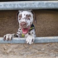 e70aafcb-5e6f-4a08-bf83-709085847520