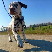 ebbb5f03-cd8b-40bd-a16e-4dc8593fb731