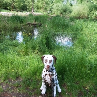 ebe204f0-e635-4cee-af0c-eb7fda66ef5a