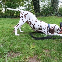 f4c0aa4d-49d5-4197-84d4-af627bba26e5