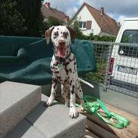 fc2da6bb-6eb1-4b56-8433-805aac6cc984