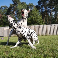 IMG_20210602_091337_1