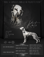 Kato-2022