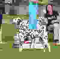 20240922_Clubshow-DCN_Lewis1