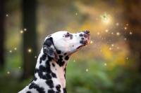 446056030_1209932980374244_4001939533775584639_n