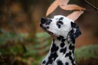 447778131_1775177453017581_7354056143687733097_n