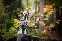 447788131_461711659780053_455339629526225057_n