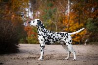 448270581_1152194209330787_9109586630945688020_n