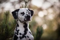 448489995_321498060896958_3163305741934824181_n