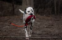 448496371_1158817665245258_1465697707882410733_n