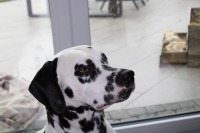 58f1ba14-6716-4fd9-9c67-ac5e37913938