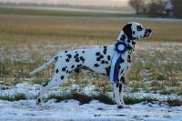 Keno-Kassel-Januar-2024